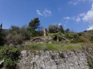 rustico