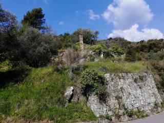 rustico