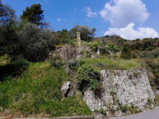 rustico