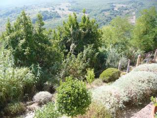 Il giardino di Allerona