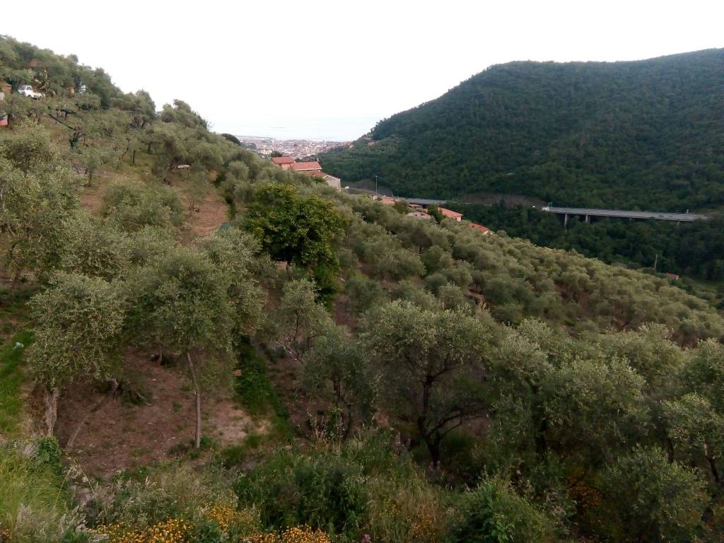 Terreno agricolo località maxena 47, maxena, sanguineto, chiavari