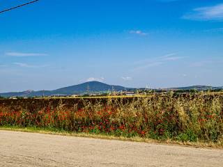 vista dall'entrata