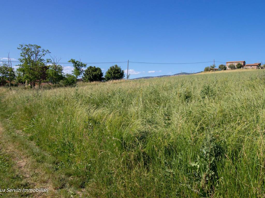 Terreno agricolo località madonna del porto, madonna del porto, guardea