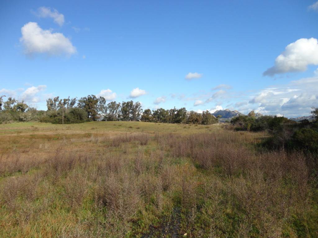Terreno agricolo strada provinciale per luogosanto, arzachena paese, arzachena