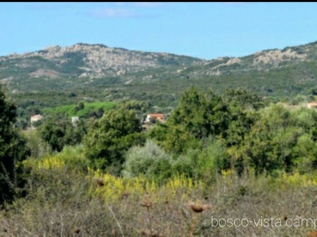 Terreno agricolo sp70, tempio pausania