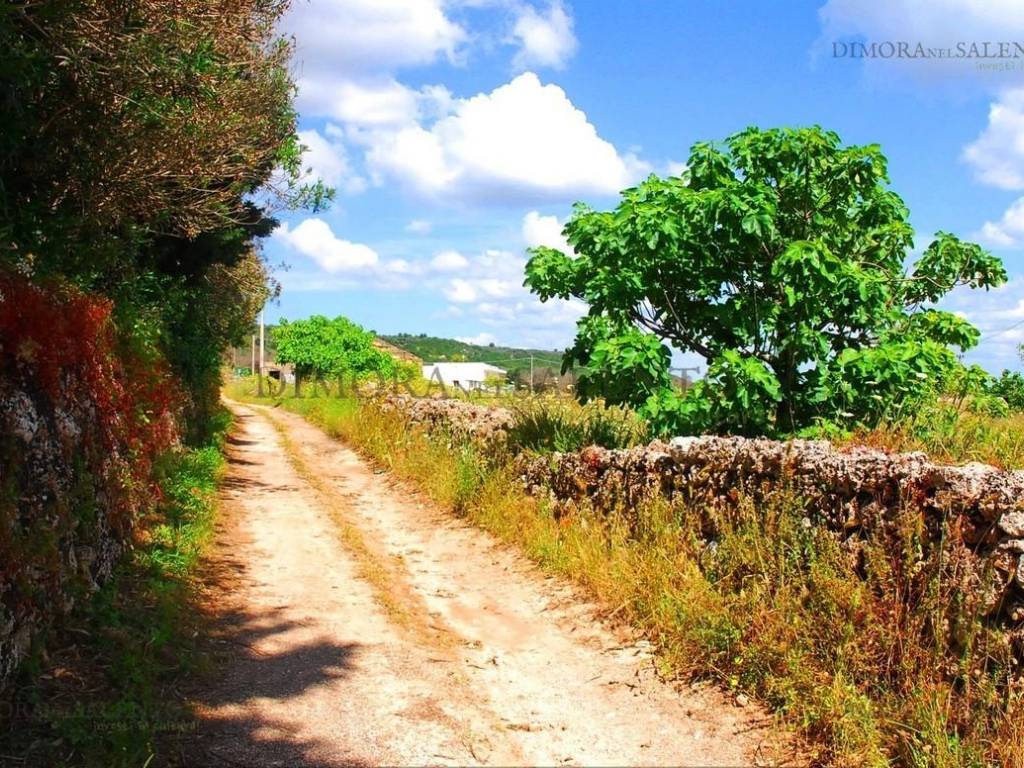 STRADA LATERALE