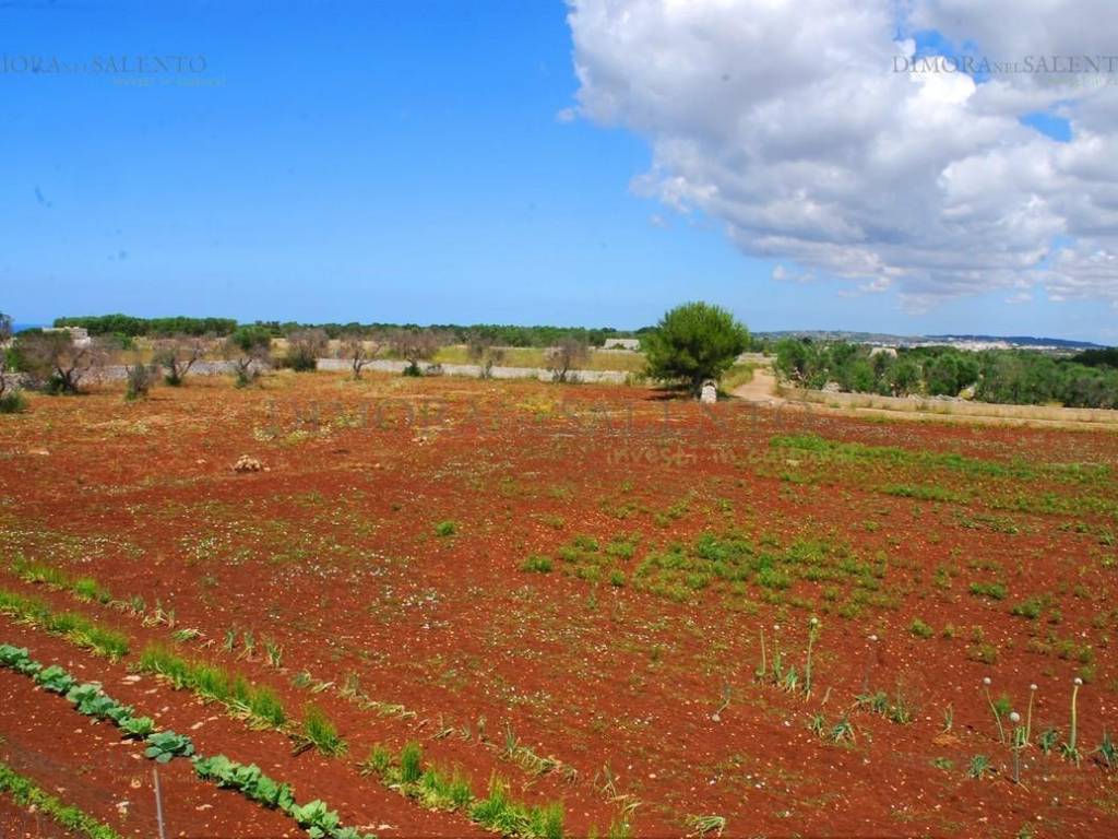 terreno