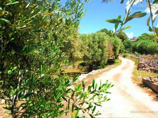 strada accesso terreno
