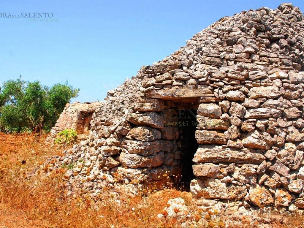 pajara con fornetto