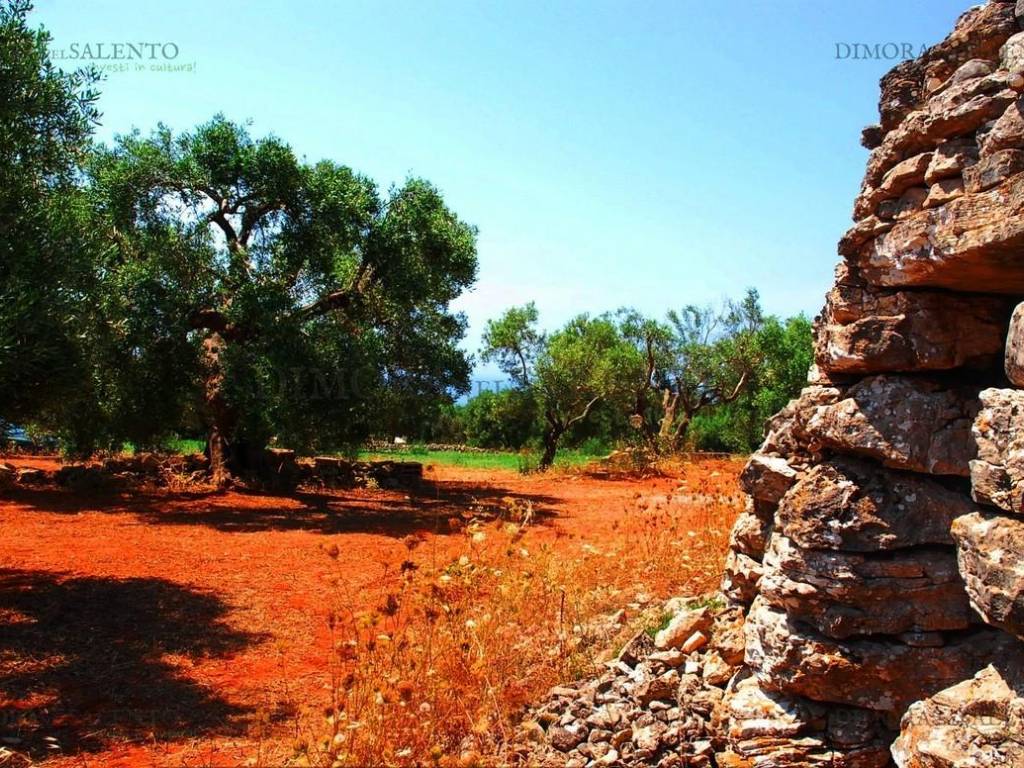 pajara con fornetto vista mare