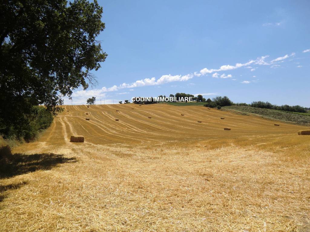 vista campagna