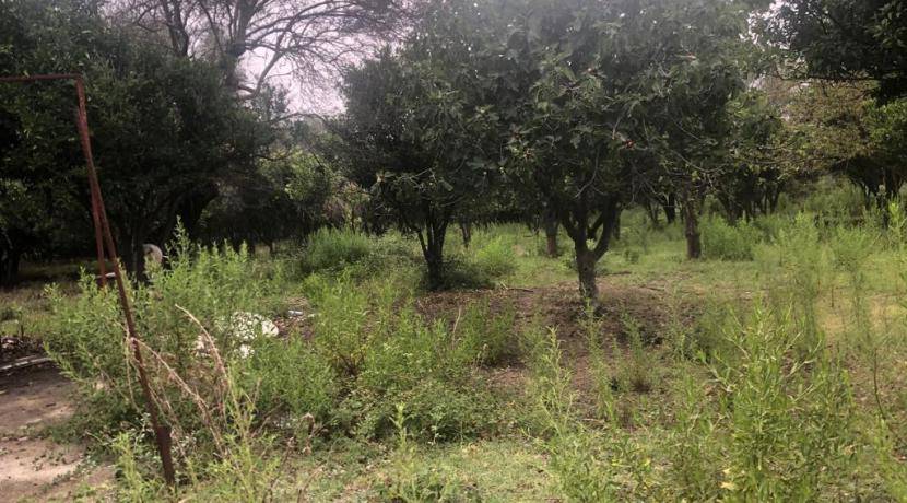 Terreno agricolo contrada belloro, benestare