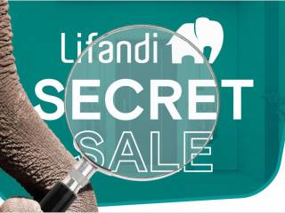 1793 21 lifandi bild secretsale  gro