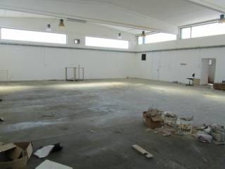 foto 03