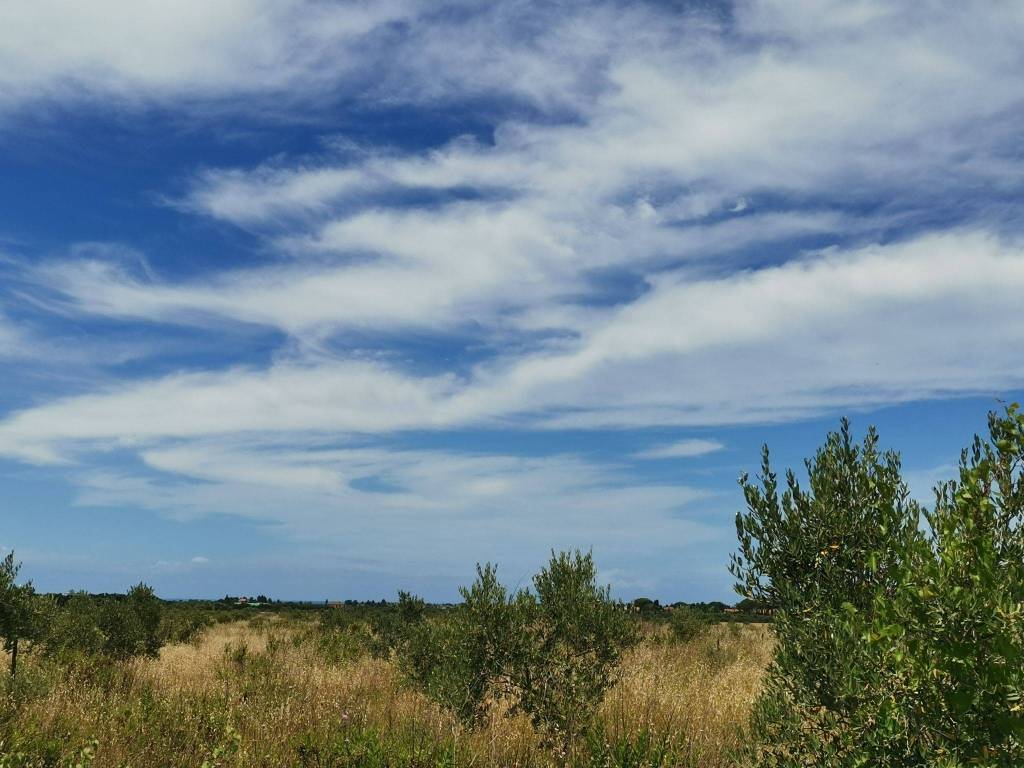 Terreno agricolo località la valle, vada, rosignano marittimo