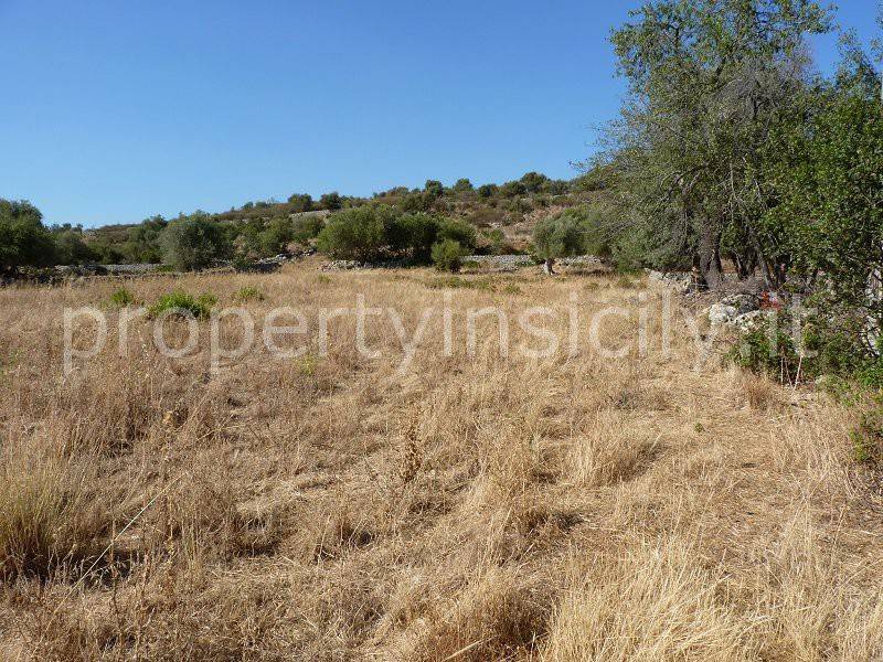 terreno agricolo