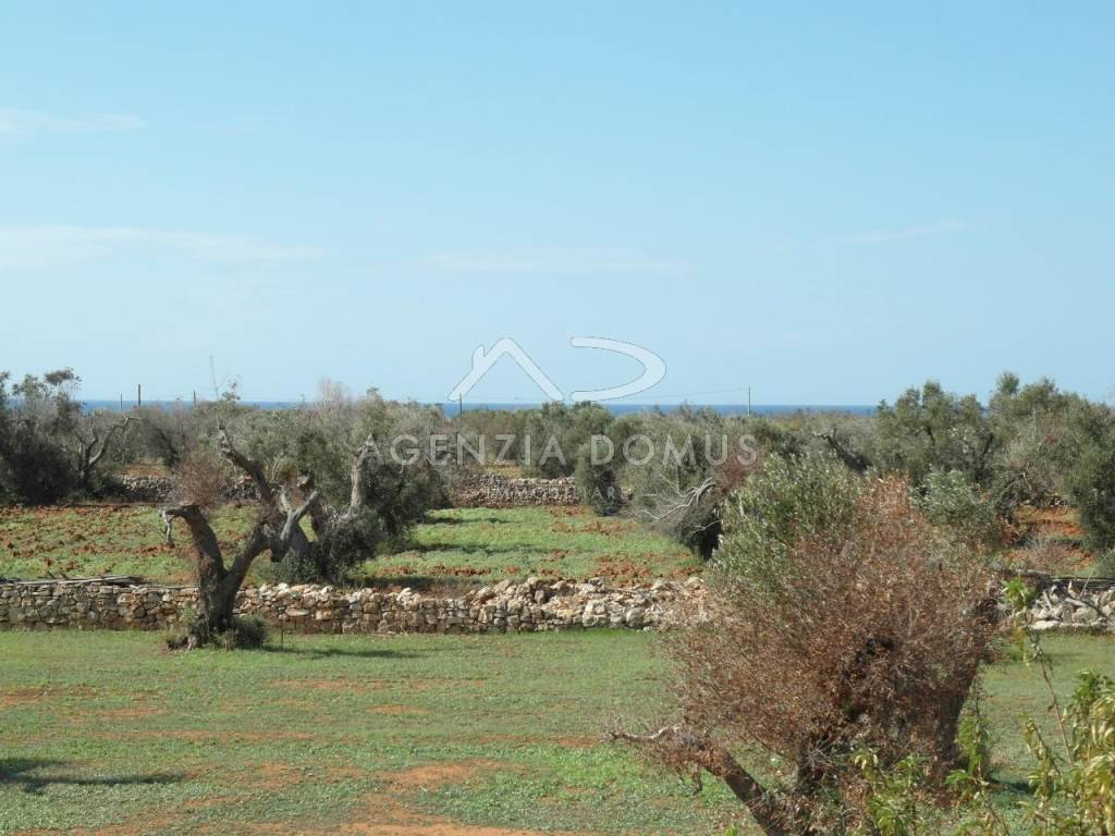 10 puglia salento gallipoli alliste