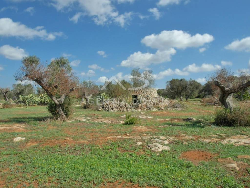 19 puglia salento gallipoli alliste