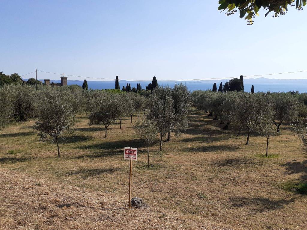 Terreno non edificabile via orvieto 1, bolsena