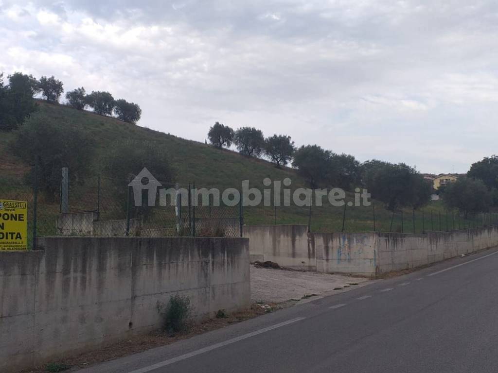 Terreno