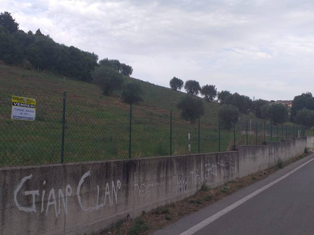 Terreno
