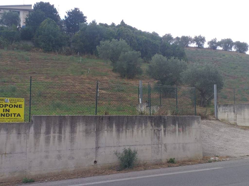 Terreno
