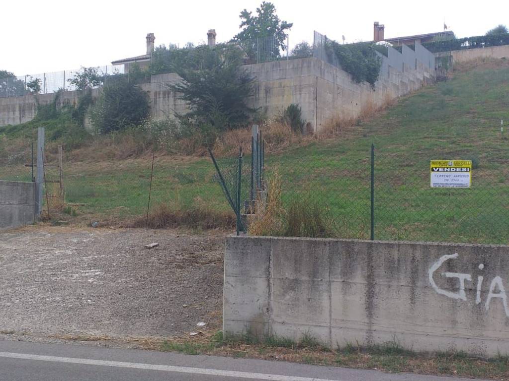 Terreno