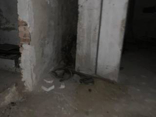 INTERNO