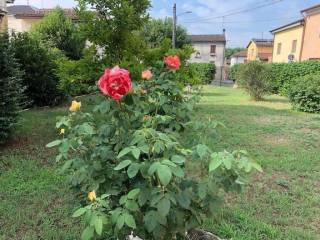GIARDINO RETROSTANTE