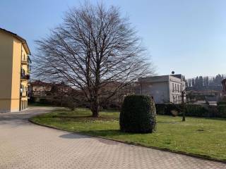 Giardino comune
