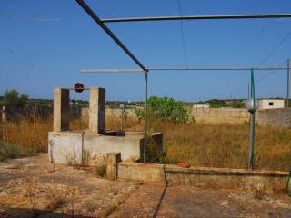 cortile e giardino