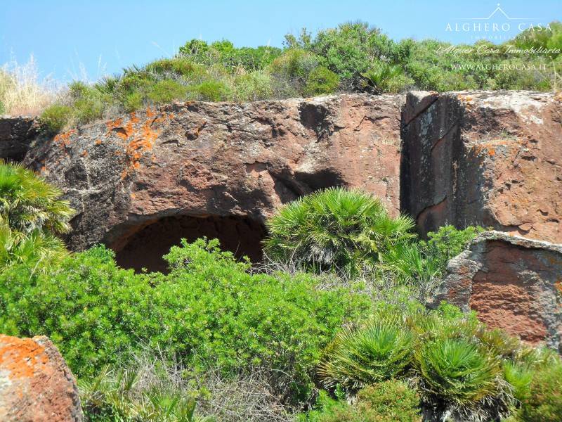 Rocce di trachite