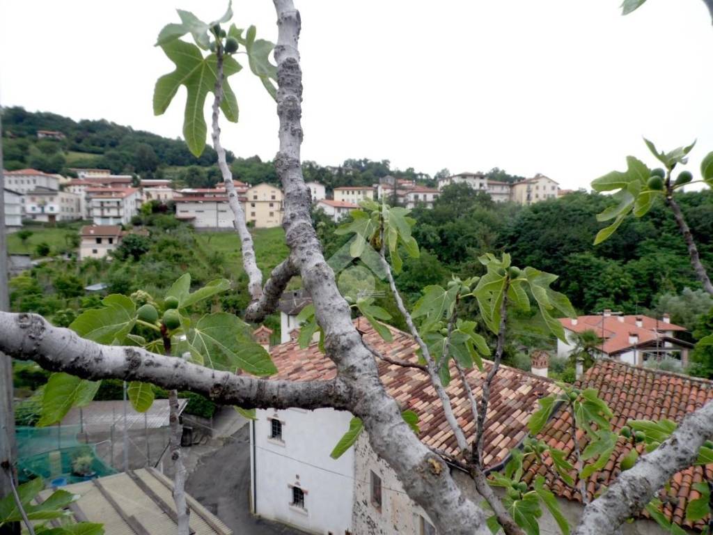 vista dal terrazzone