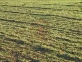 images 5 wmk 0