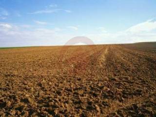 terreno agricolo wmk 0