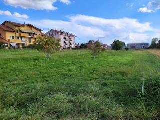 vista 3