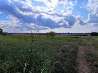 vista 7