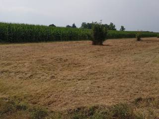 vista 17