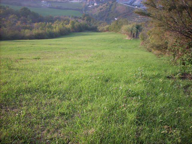 Terreno agricolo, colonnella