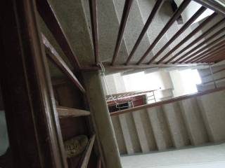 tromba