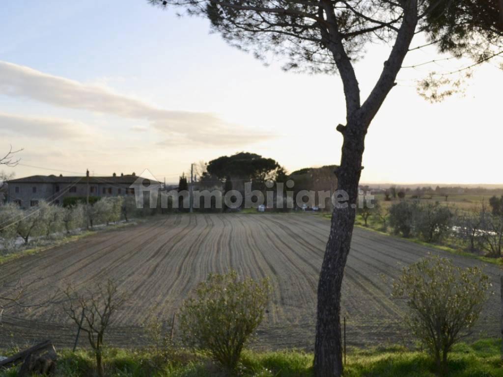 CASOLARE IN PIETRA CORTONA