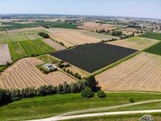 005  dji 0656