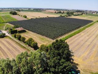 006  dji 0649