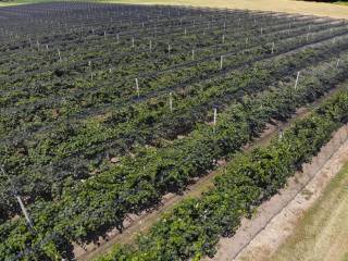 015  dji 0680