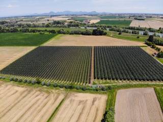 017  dji 0686