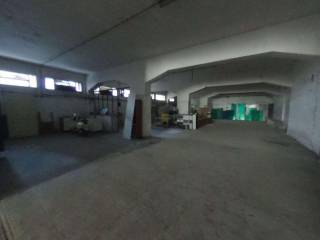 INTERNO CAPANNONE 