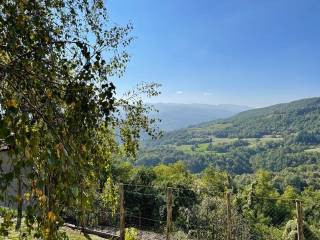 vista