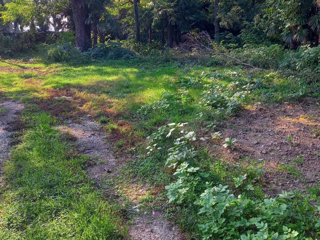 Terreno agricolo via al motto, centro, gavirate