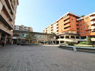 Zona