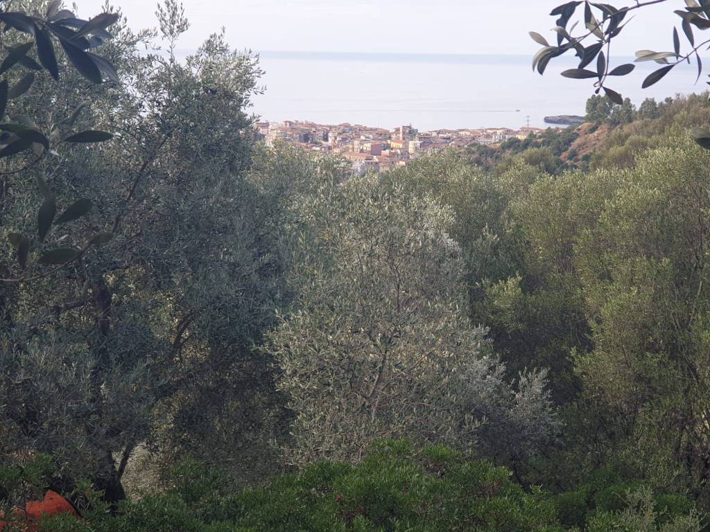 Terreno agricolo via monte di luna, camerota